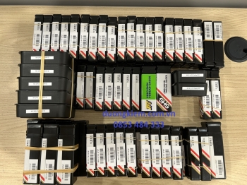 Lô  hàng đầu tiên của năm mới nay đã về tới văn phòng Hà Nội